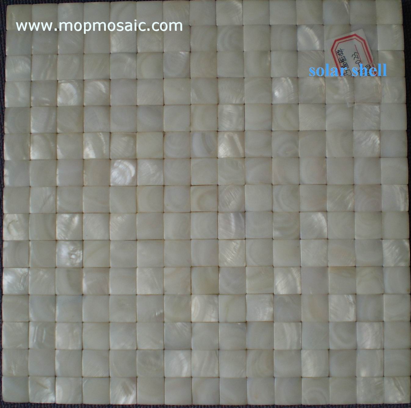 Pure white shell mosaic(convex)