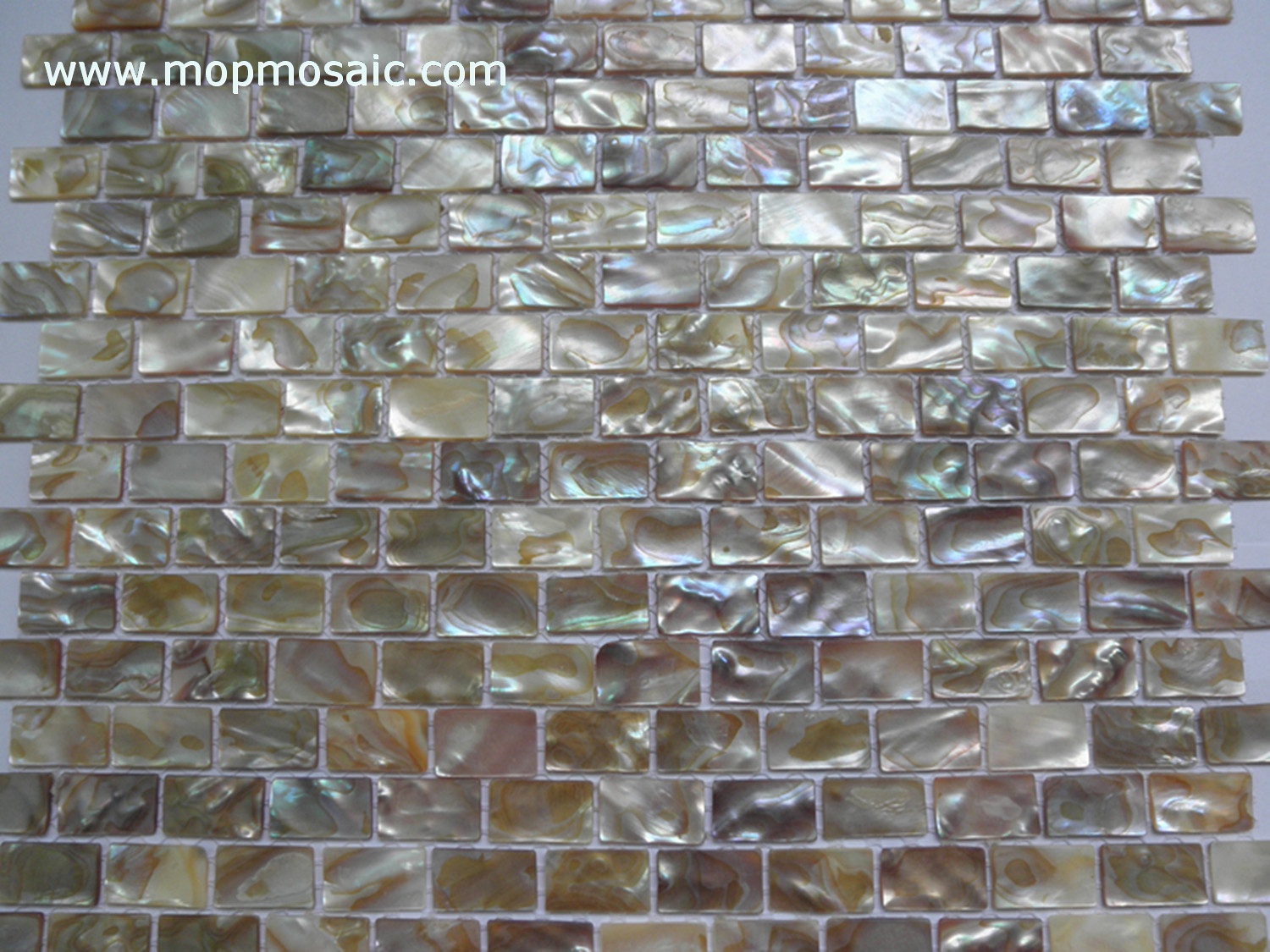 Rainbow dapple mother of pearl mosaic