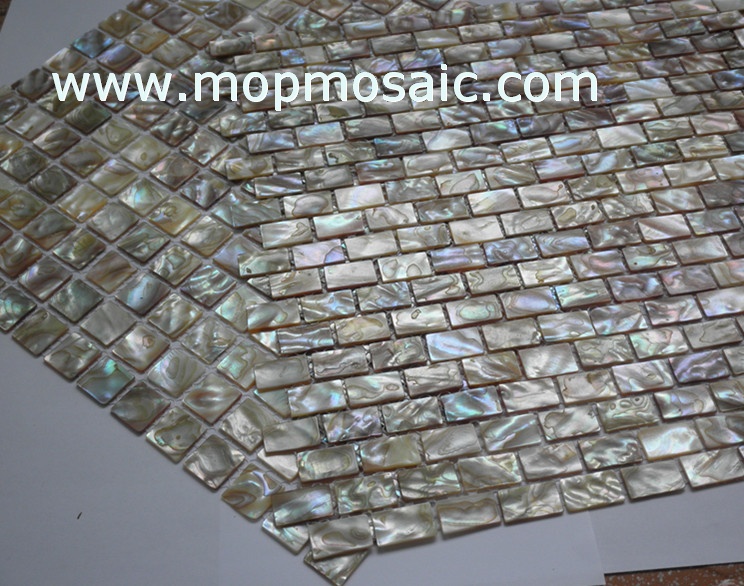 Rianbow dapple shell mosaic,mother of pearl mosaic