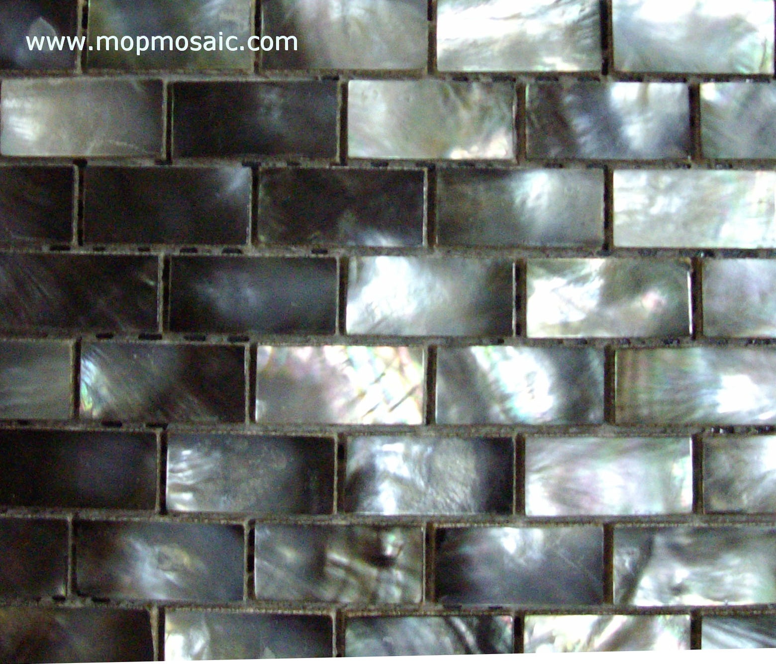 Retangle shape blacklip shell mosaic（15X25mm）