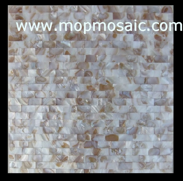 Common dapple color shell mosaic(15*25mm)