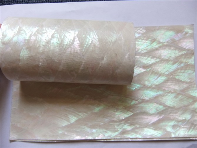 Flexible Korean Abalone shell paper