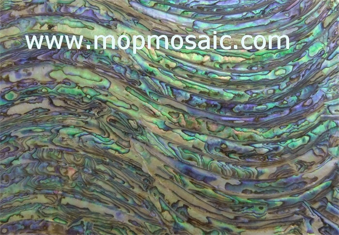 Abalone shell laminate in S style