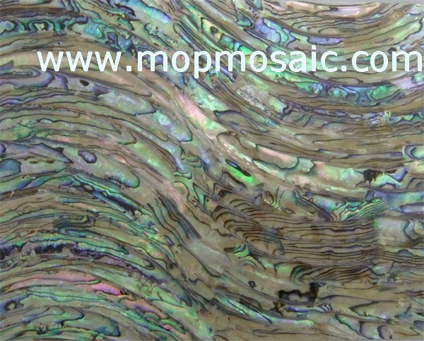 New Zealand abalone shell veneer