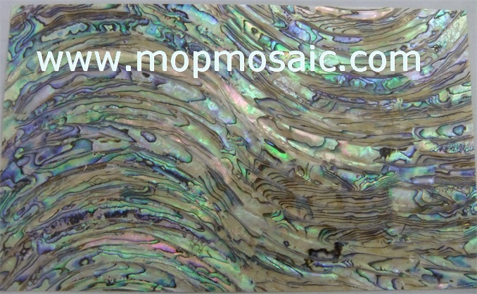 New Zealand abalone shell veneer
