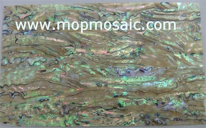 New Zealand yellow abalone shell laminate