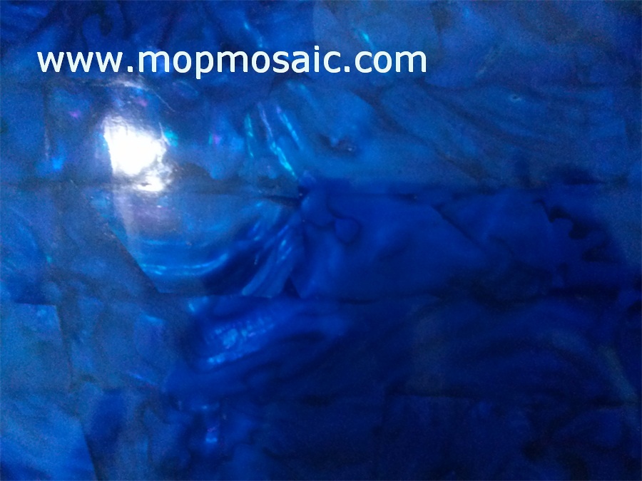 Dyed white freshwater shell veneer in blue color