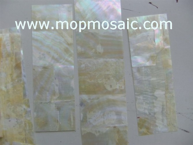 Customized yellowlip shell paper