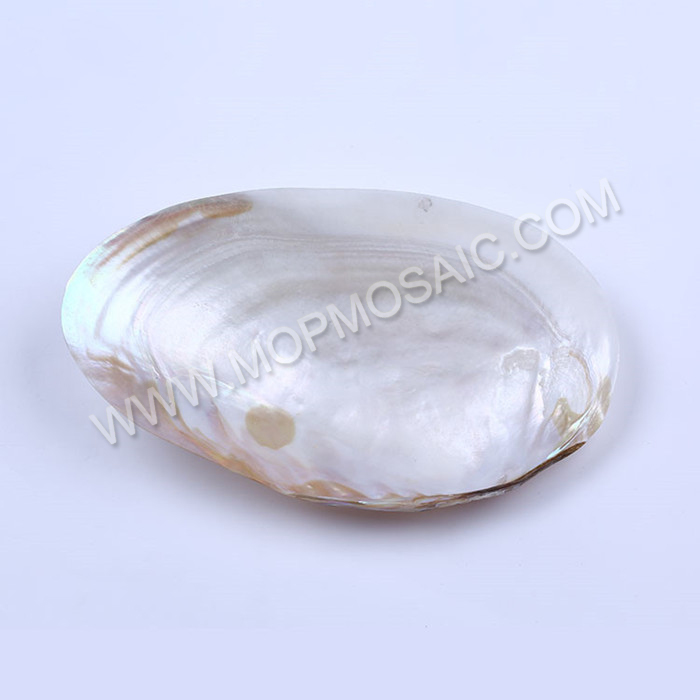 Highly polished natural chinese river MOP shells for home decoration arts
