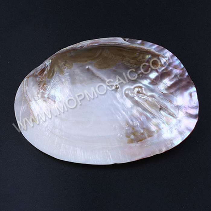 Highly polished natural chinese freshwater MOP shells for home decoration arts