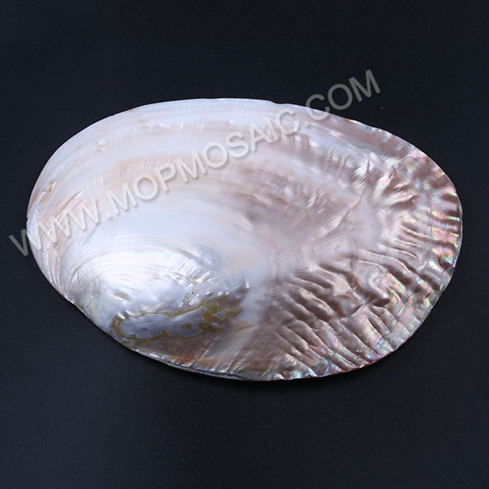 Highly polished natural chinese freshwater MOP shells for home decoration arts