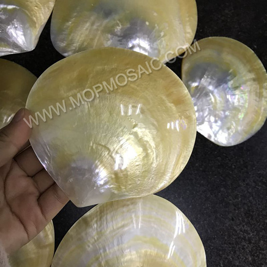 Highly polished natural yellowlip mop shells for home decoration arts
