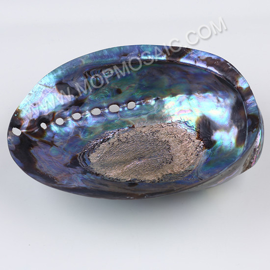 Polished shiny natural abalone and paua shells for aquarium home decoration arts