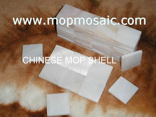Freshwater mop shell tiles