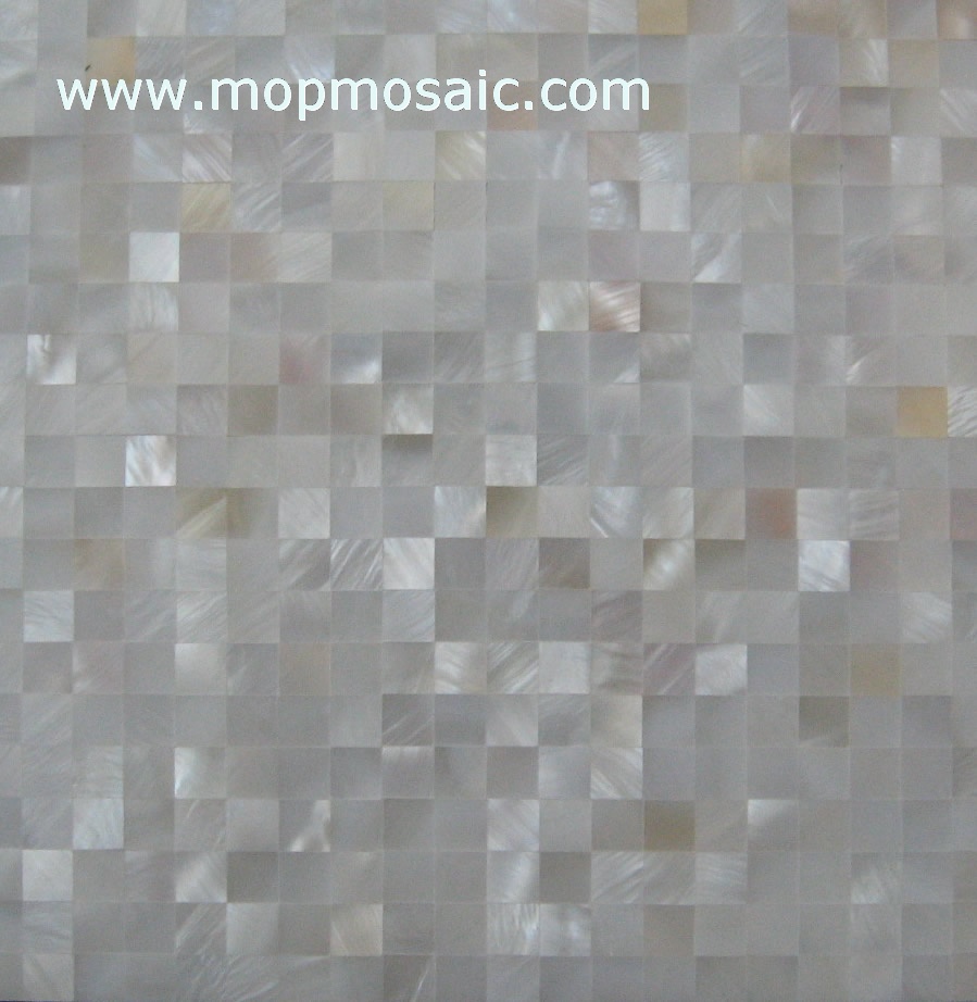 Freshwater shell wall tiles or shell panel