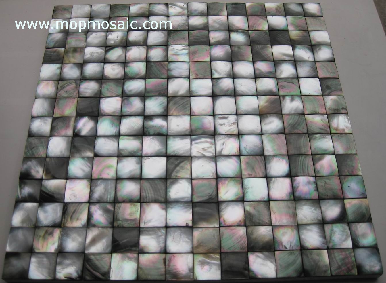 Blacklip Shell mosaic (Convex/3D raised)