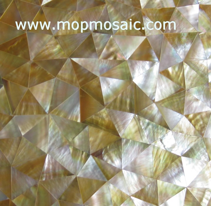 Triangle Yellowlip  Shell Tiles