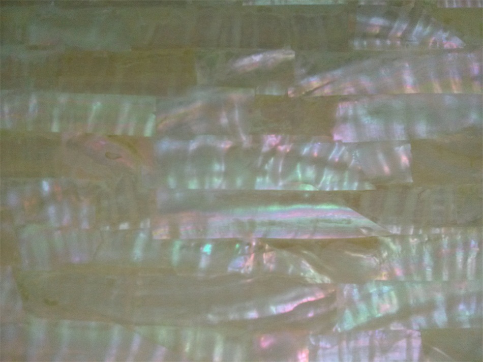 Australia paua shell laminate