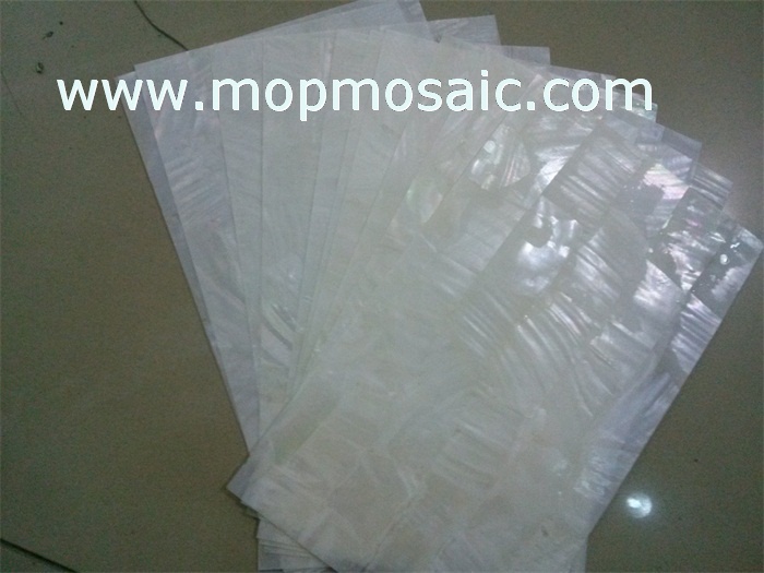 white freshwater shell paper