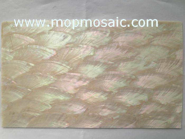 0.5mm thickness angle wing abalone shell laminate for luthier inlay