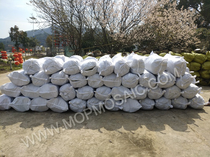stacked sales chinese white farmed freshwater raw river shells