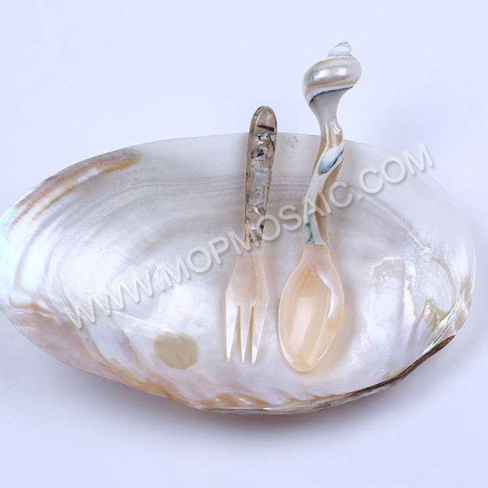 polished chinese MOP freshwater raw shells for home and arts decoration
