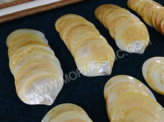 Polished yellow mop shell tiles for home arts and handicrafts