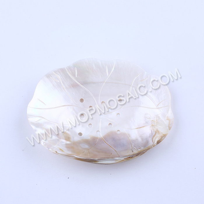 Polished chinese raw mop shells for soap dishes